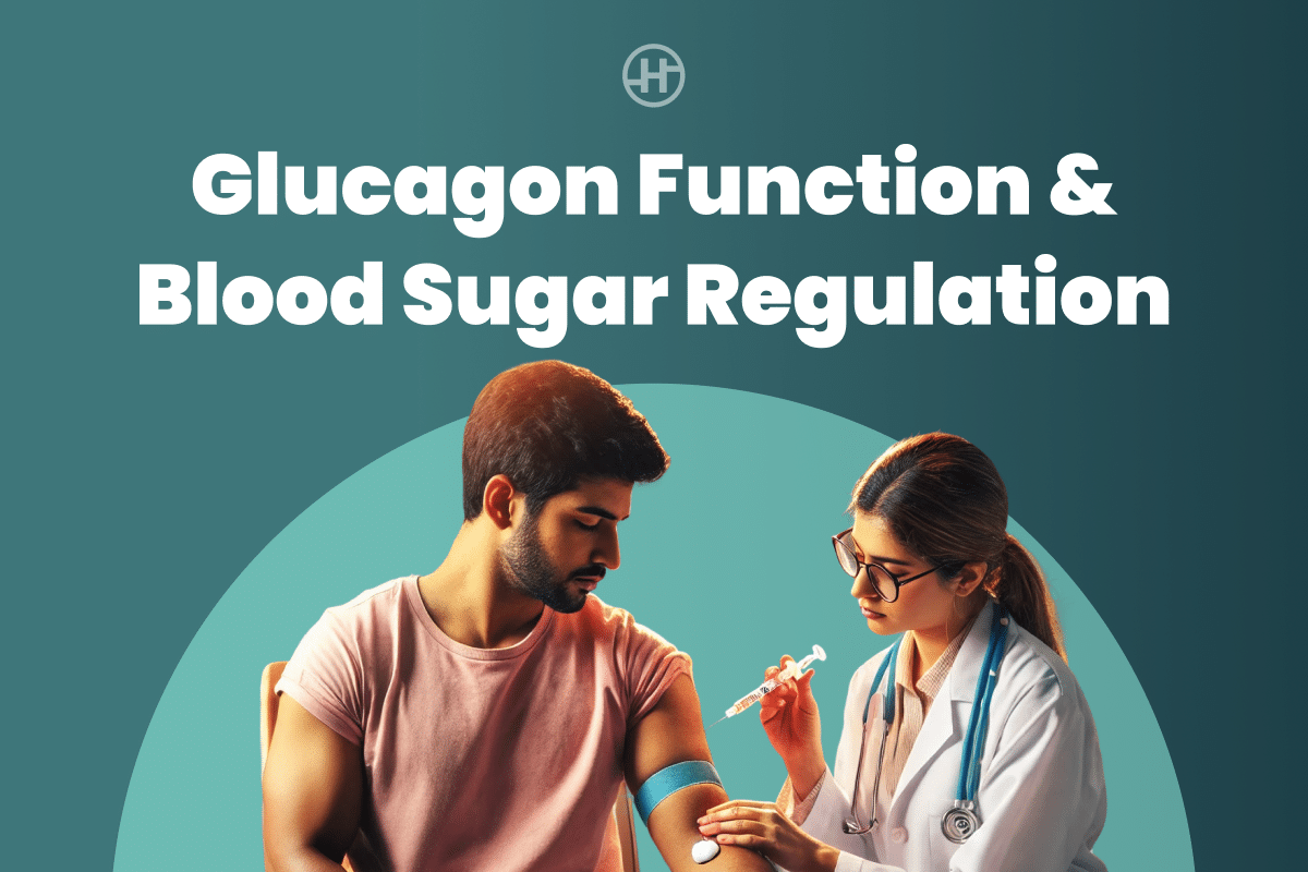 understanding-glucagon-function-in-blood-sugar-regulation